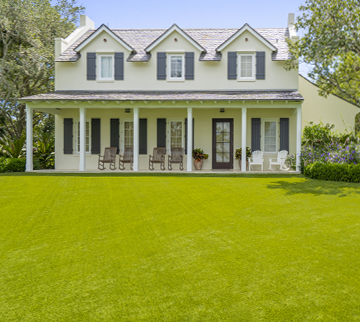 Residential Turf Lawn