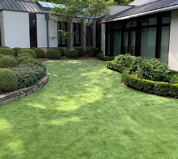 Residential Turf Lawn