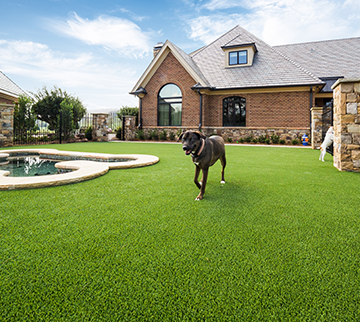 Specially designed pet turf