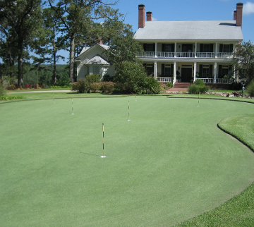 Outdoor synthetic grass putting green at house