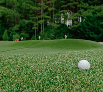 Golf Ball on Backyard Putting green