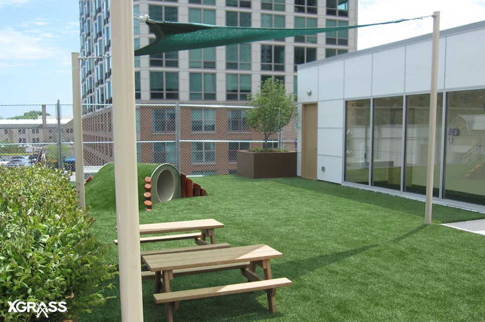 Rooftop dog park with XGrass pet turf installed