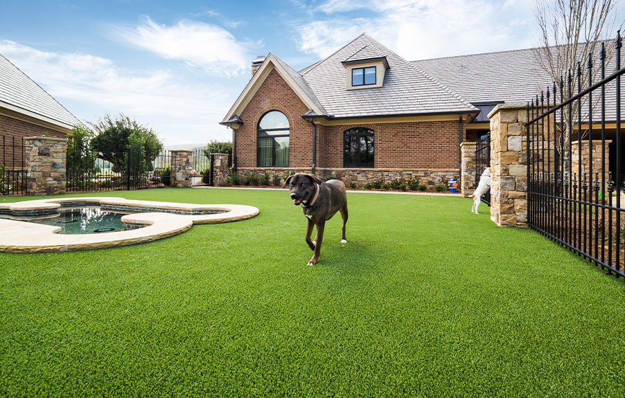 Residential Pet Lawn with pool